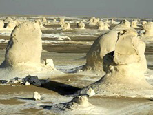Kameltouren / Meharees, gypten: Karawane Weisse Wste - Landschaftsbild der Weien Wste
