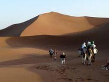 Kameltouren / Meharees, Marokko: Die Meheree fhrt durch atemberaubende Sanddnen