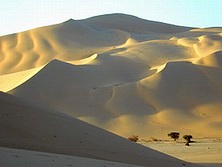 Kameltouren / Meharees, Niger: Karawane Tamgak - Sanddnen